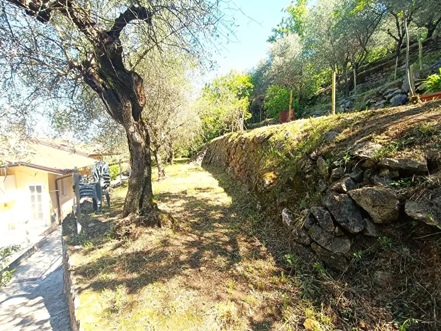 Immagine 37 di Casa indipendente in vendita  a Carrara