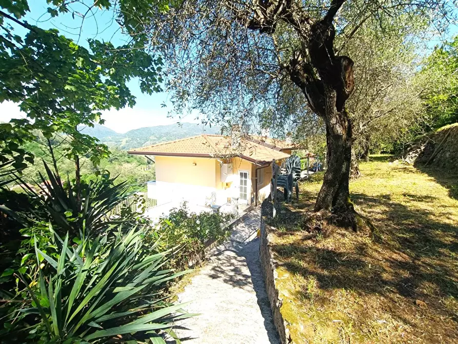 Immagine 3 di Casa indipendente in vendita  a Carrara