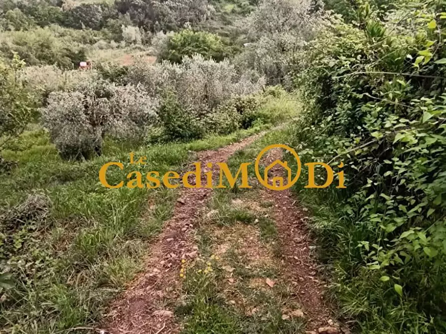 Immagine 39 di Appartamento in vendita  a Collesalvetti