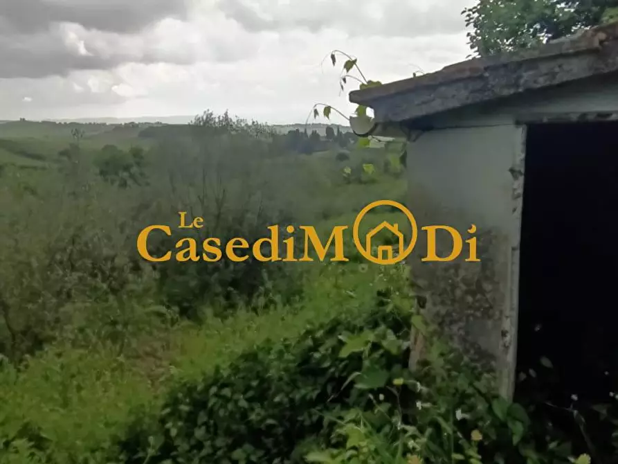 Immagine 34 di Appartamento in vendita  a Collesalvetti