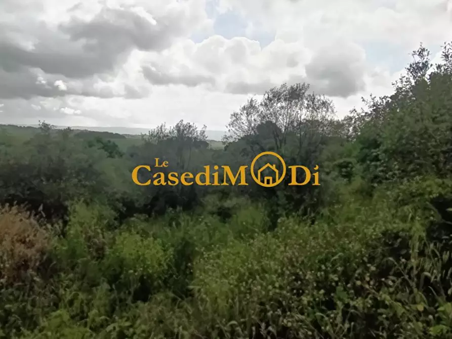 Immagine 38 di Appartamento in vendita  a Collesalvetti