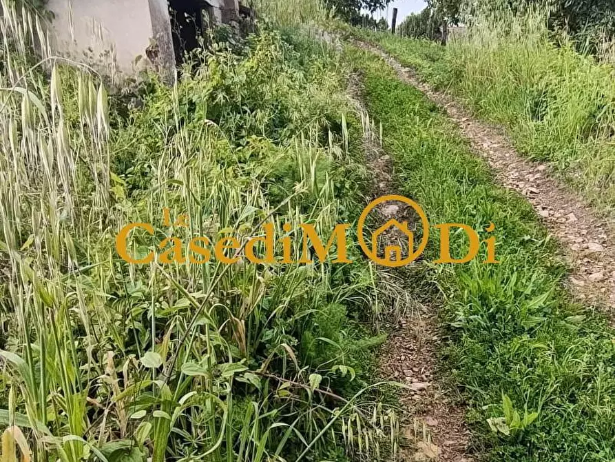 Immagine 37 di Appartamento in vendita  a Collesalvetti