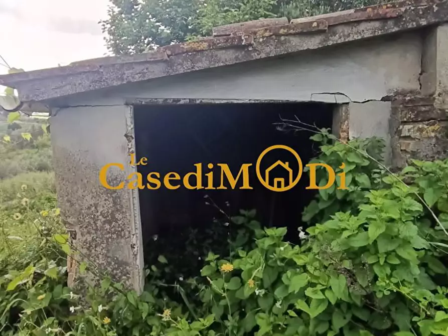 Immagine 36 di Appartamento in vendita  a Collesalvetti