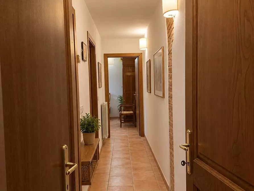 Immagine 6 di Appartamento in vendita  a Piombino