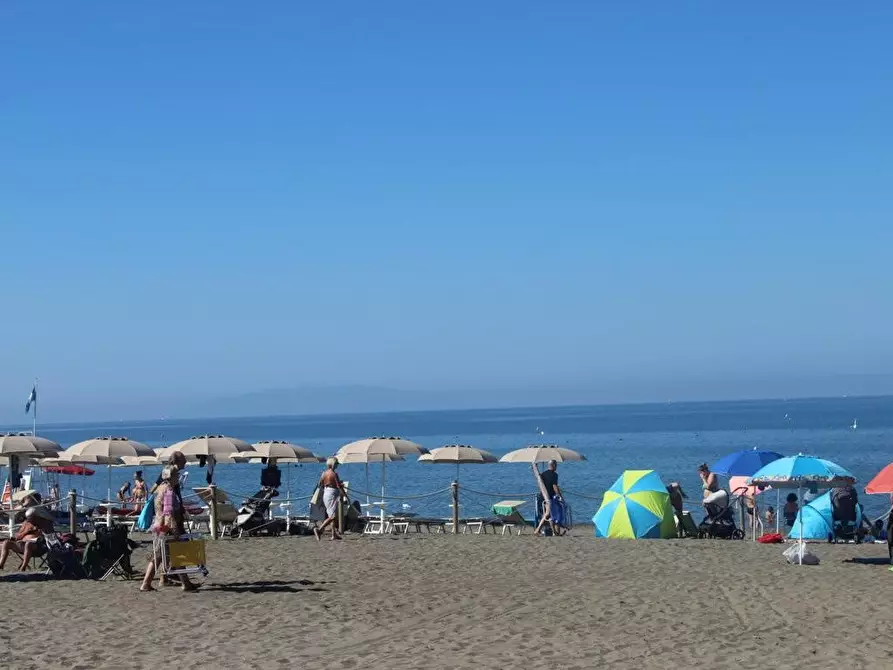 Immagine 25 di Appartamento in vendita  a Bibbona