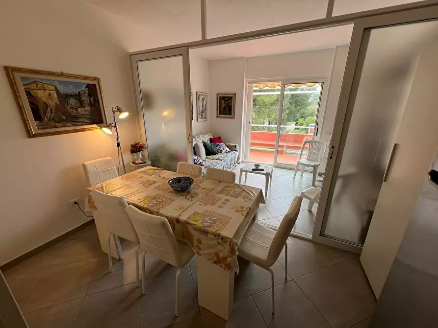 Immagine 9 di Appartamento in vendita  a Bibbona
