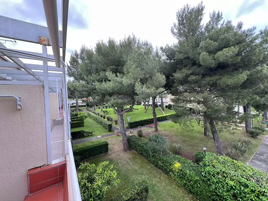 Immagine 5 di Appartamento in vendita  a Bibbona