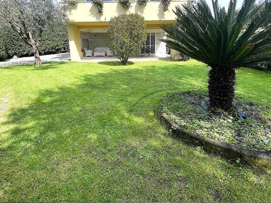 Immagine 5 di Appartamento in vendita  a Pietrasanta