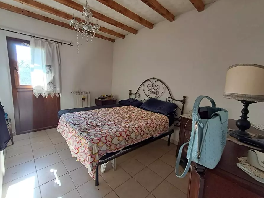 Immagine 4 di Villa in vendita  a Terricciola