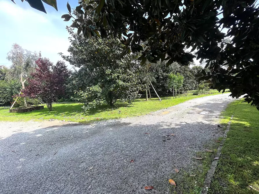 Immagine 3 di Appartamento in vendita  a Pietrasanta