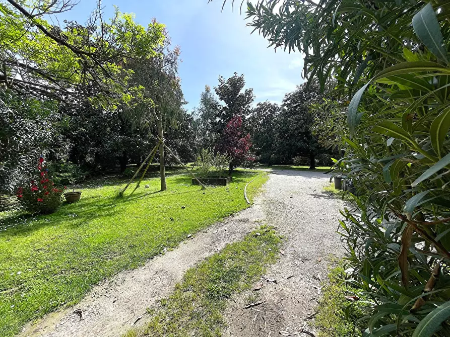 Immagine 1 di Appartamento in vendita  a Pietrasanta