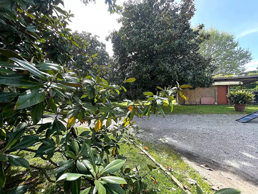 Immagine 2 di Appartamento in vendita  a Pietrasanta