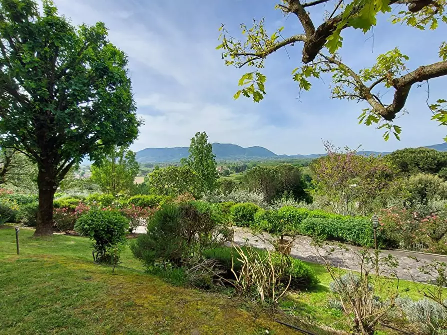 Immagine 6 di Villa in vendita  a Lucca