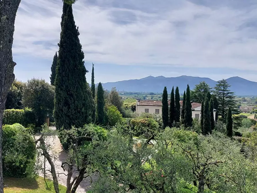 Immagine 17 di Villa in vendita  a Lucca