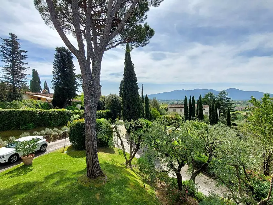 Immagine 18 di Villa in vendita  a Lucca