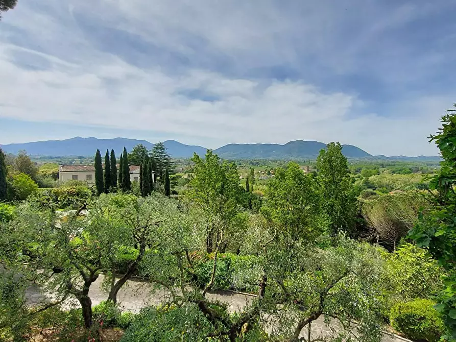 Immagine 4 di Villa in vendita  a Lucca