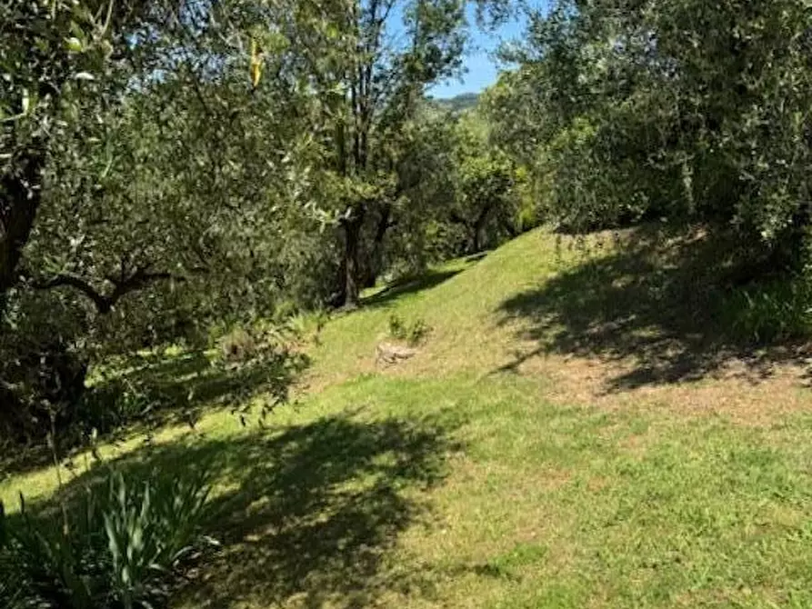 Immagine 24 di Villa in vendita  a Lucca