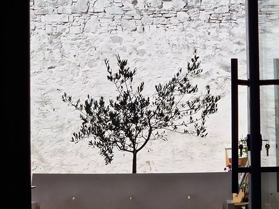 Immagine 10 di Villa in vendita  a Viareggio