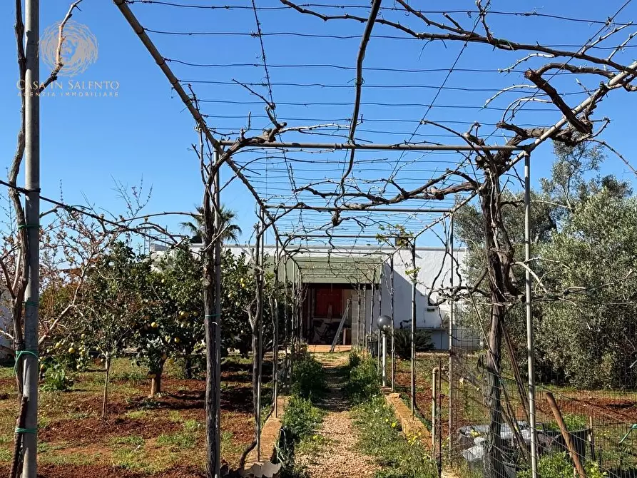 Immagine 6 di Casa indipendente in vendita  a Salve