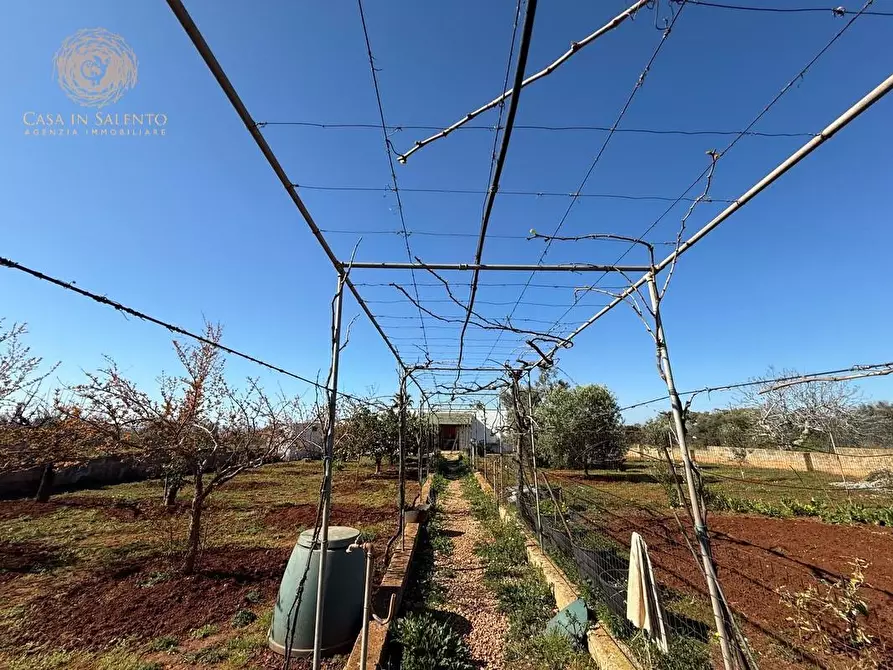 Immagine 5 di Casa indipendente in vendita  a Salve
