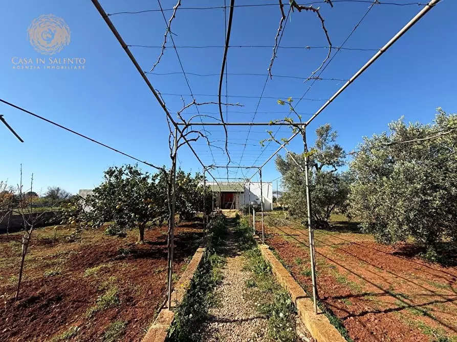 Immagine 4 di Casa indipendente in vendita  a Salve