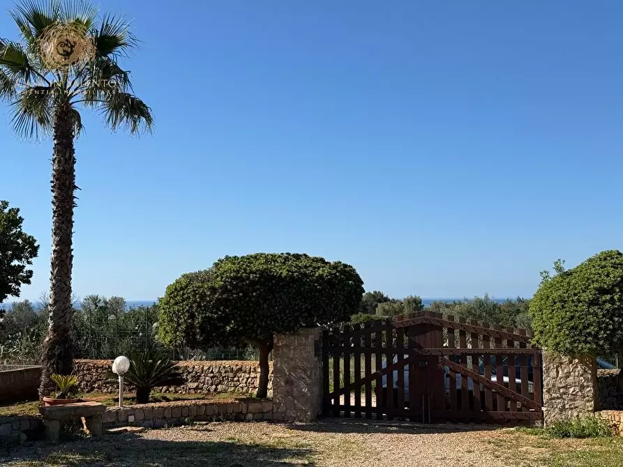 Immagine 1 di Casa indipendente in vendita  a Salve