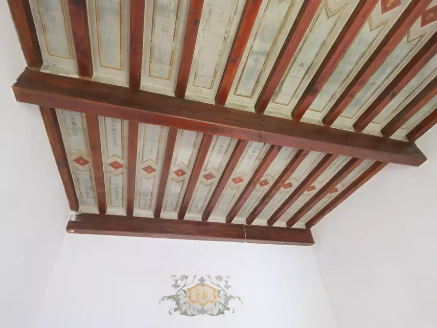 Immagine 23 di Casa indipendente in vendita  a Buti