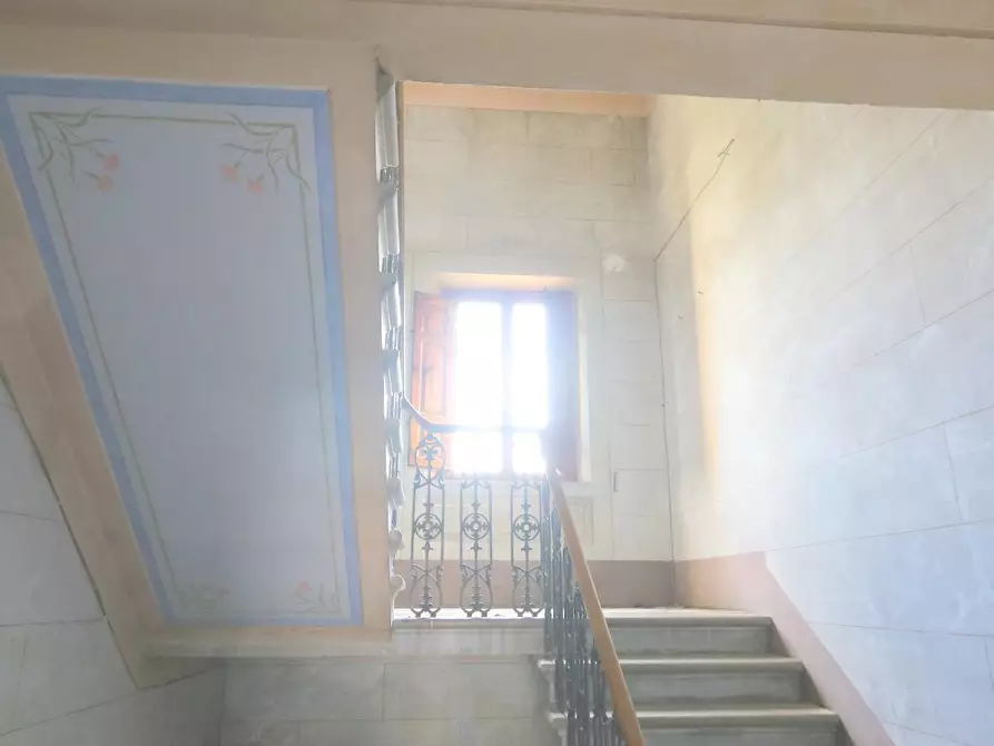 Immagine 13 di Casa indipendente in vendita  a Buti