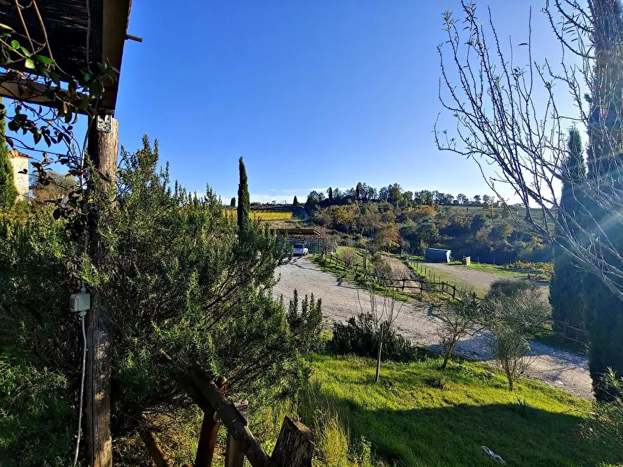 Immagine 5 di Casa colonica in vendita  a Rapolano Terme