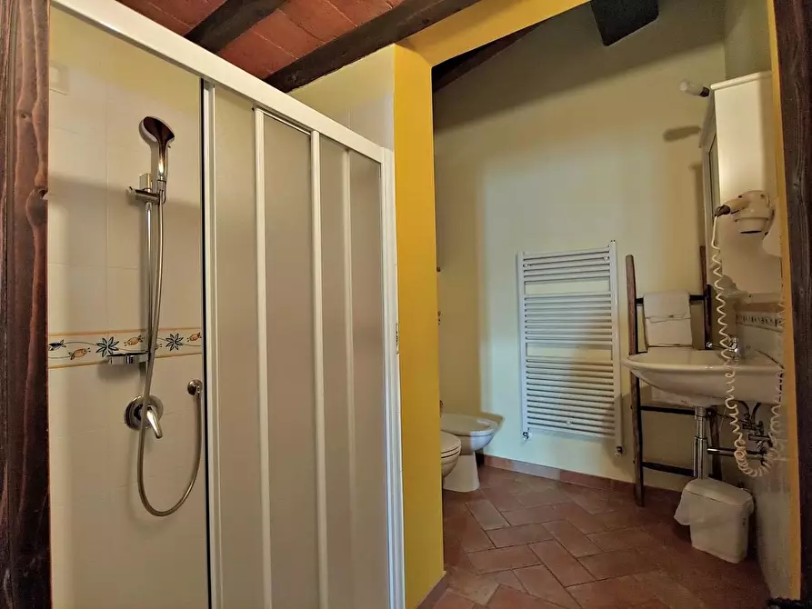 Immagine 23 di Casa colonica in vendita  a Rapolano Terme