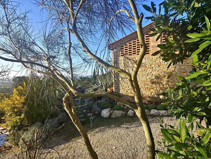 Immagine 33 di Casa colonica in vendita  a Rapolano Terme