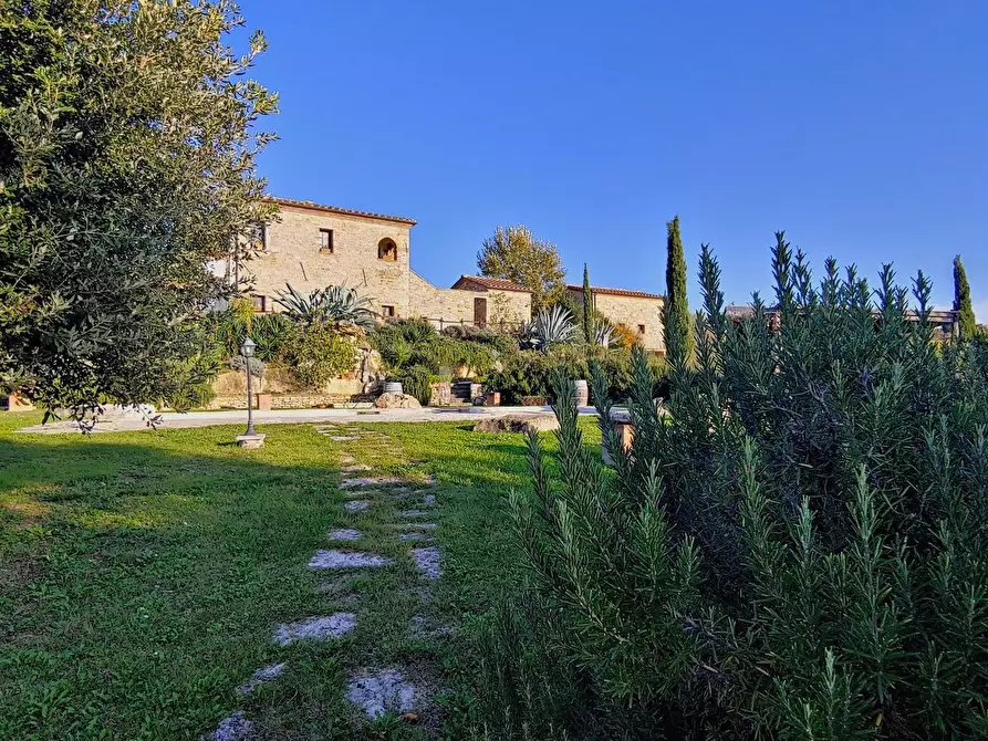 Immagine 2 di Casa colonica in vendita  a Rapolano Terme