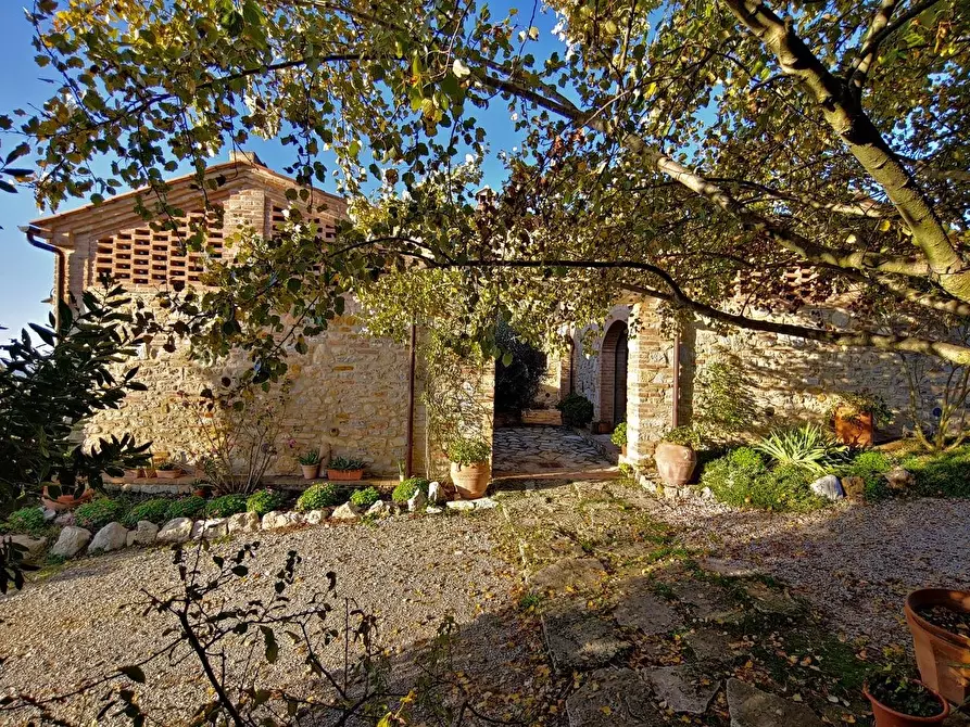 Immagine 21 di Casa colonica in vendita  a Rapolano Terme