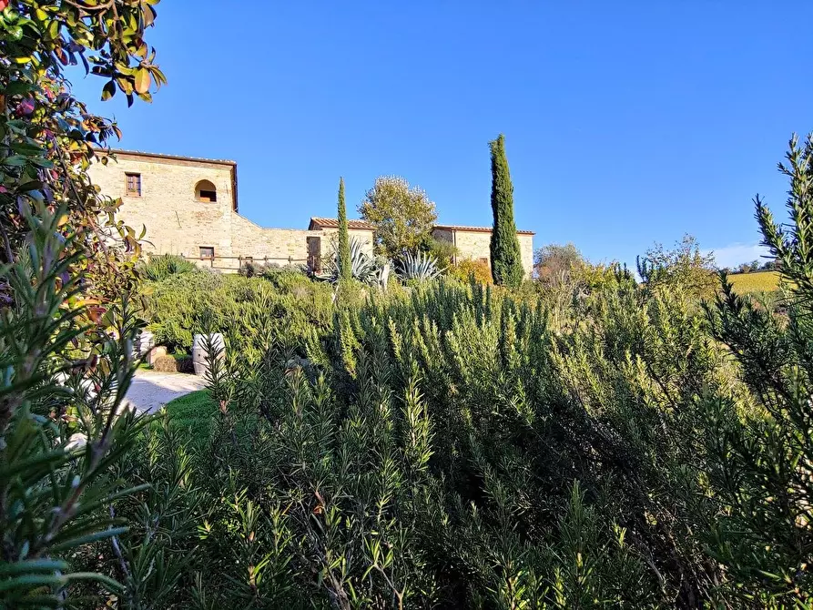 Immagine 11 di Casa colonica in vendita  a Rapolano Terme