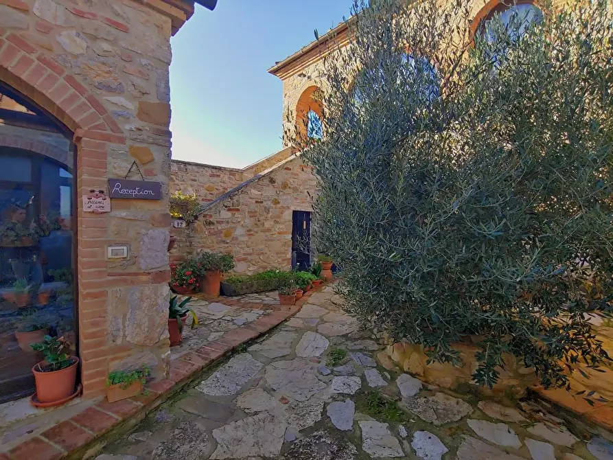 Immagine 20 di Casa colonica in vendita  a Rapolano Terme