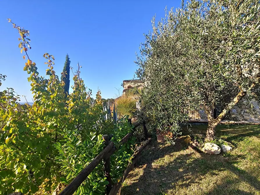 Immagine 31 di Casa colonica in vendita  a Rapolano Terme