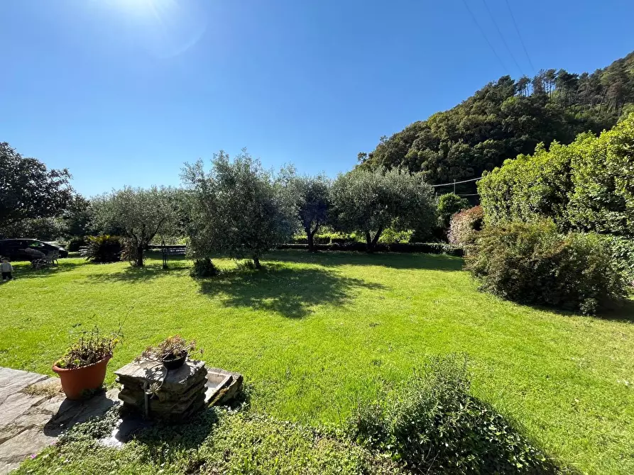 Immagine 3 di Casa semindipendente in vendita  a Montignoso