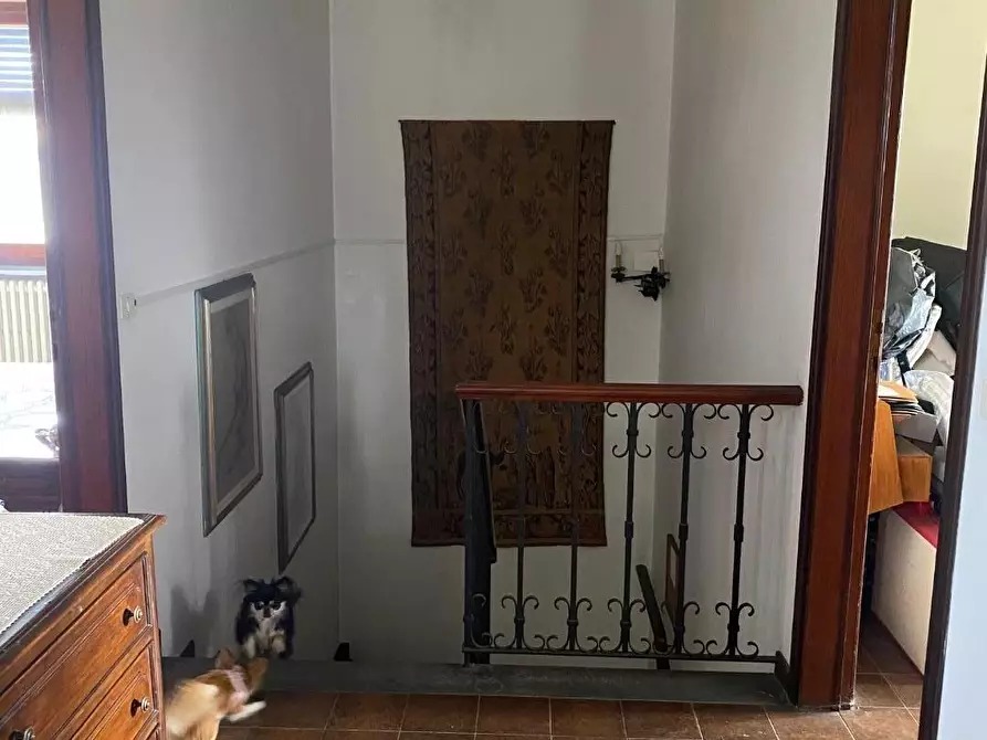 Immagine 23 di Villa in vendita  a Viareggio