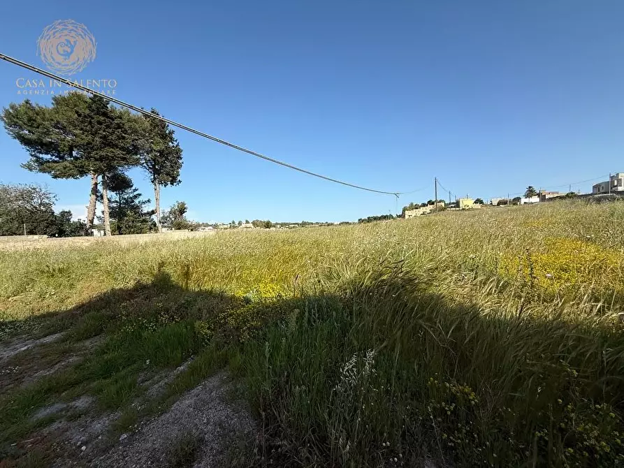 Immagine 8 di Terreno residenziale in vendita  a Alessano