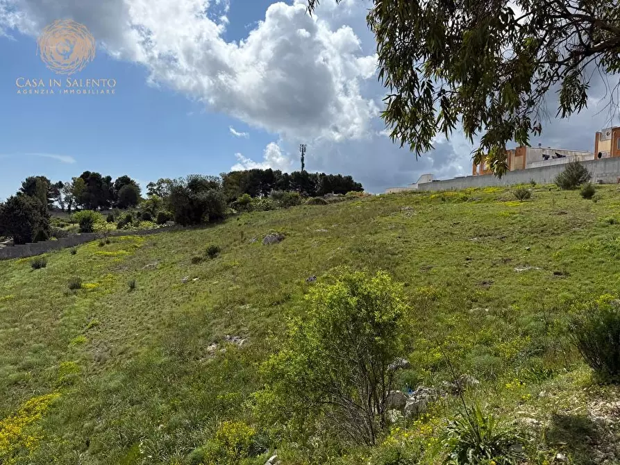 Immagine 3 di Terreno residenziale in vendita  a Alessano
