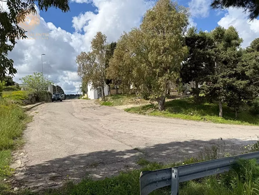 Immagine 5 di Terreno residenziale in vendita  a Alessano