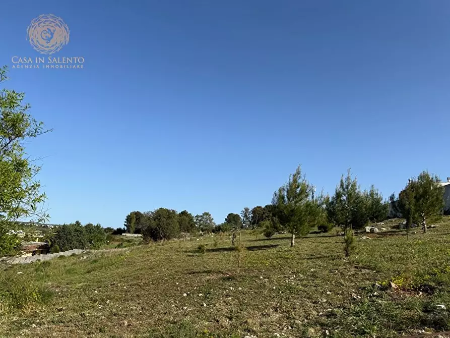 Immagine 18 di Terreno residenziale in vendita  a Alessano