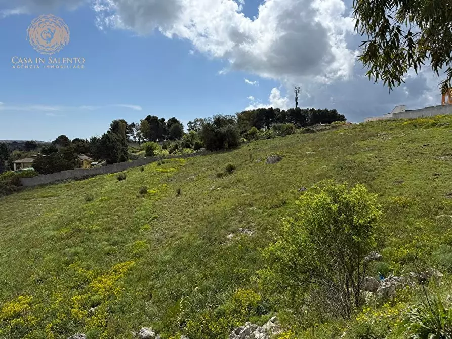 Immagine 6 di Terreno residenziale in vendita  a Alessano