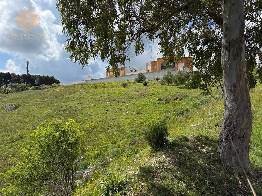 Immagine 4 di Terreno residenziale in vendita  a Alessano