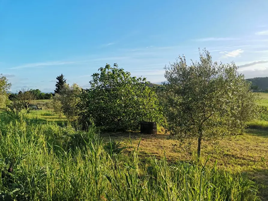 Immagine 12 di Terreno agricolo in vendita  a Poggibonsi