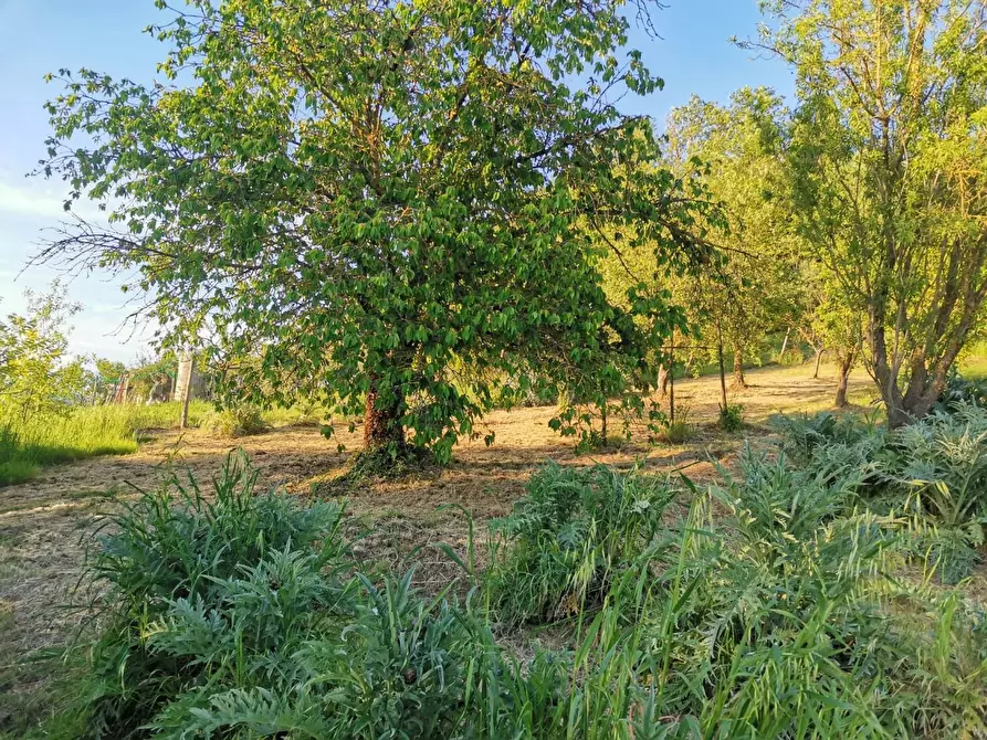 Immagine 10 di Terreno agricolo in vendita  a Poggibonsi