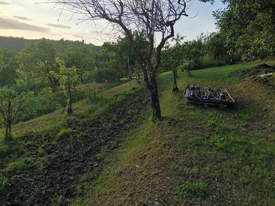 Immagine 5 di Terreno agricolo in vendita  a Poggibonsi