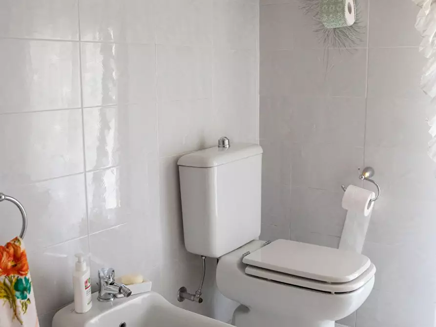 Immagine 41 di Casa bifamiliare in vendita  a Arcola