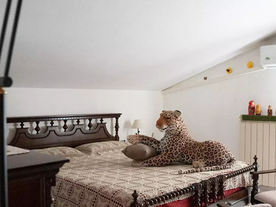 Immagine 42 di Casa bifamiliare in vendita  a Arcola