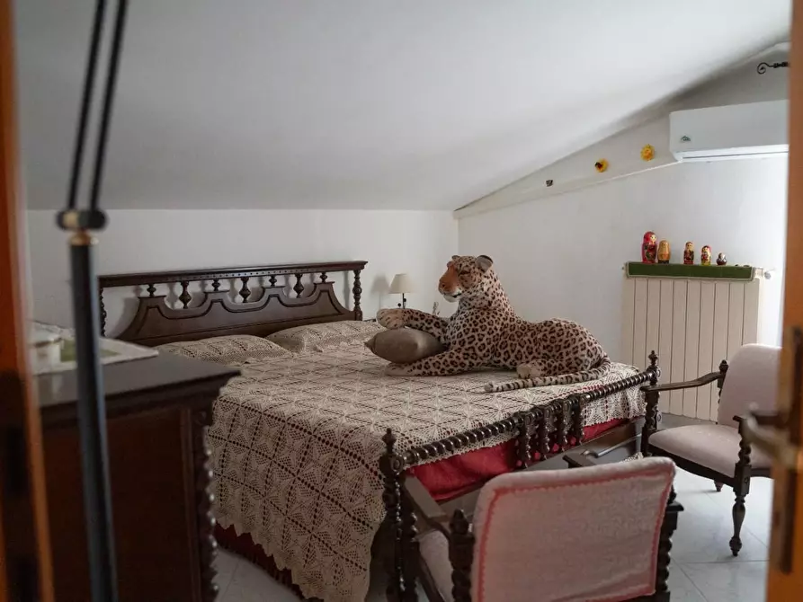 Immagine 43 di Casa bifamiliare in vendita  a Arcola